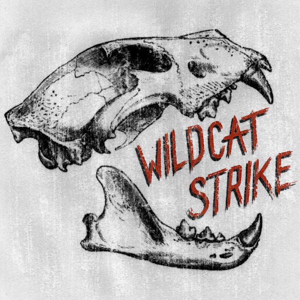 Wildcat Strike